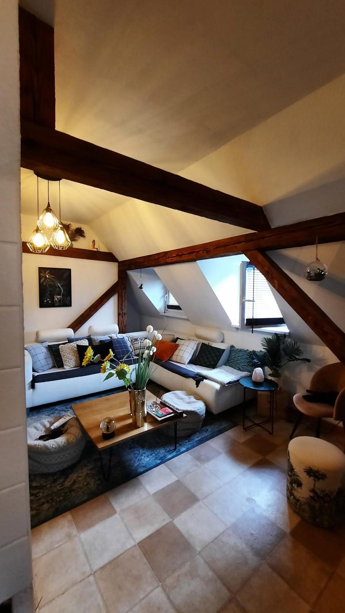 Charmant Appartement Proche Strasbourg A エックヴェルスハイム エクステリア 写真