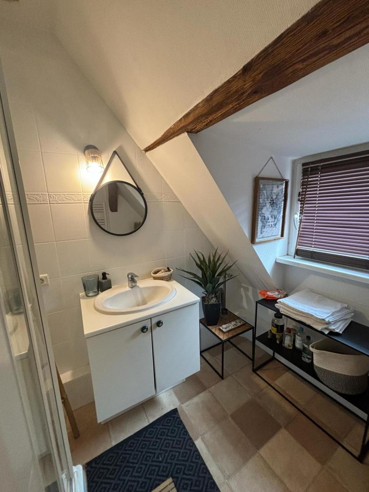 Charmant Appartement Proche Strasbourg A エックヴェルスハイム エクステリア 写真