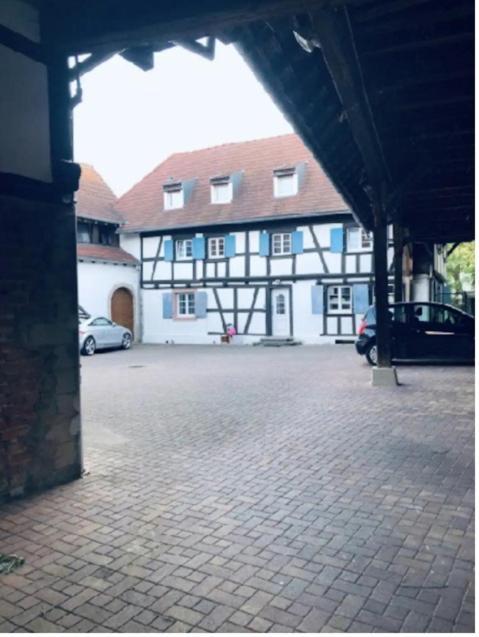 Charmant Appartement Proche Strasbourg A エックヴェルスハイム エクステリア 写真